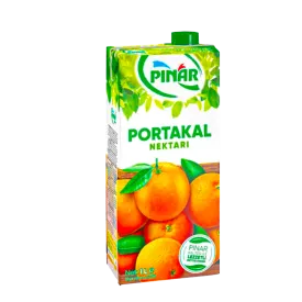 153107046 - Orange Fruit Drink - Pinar