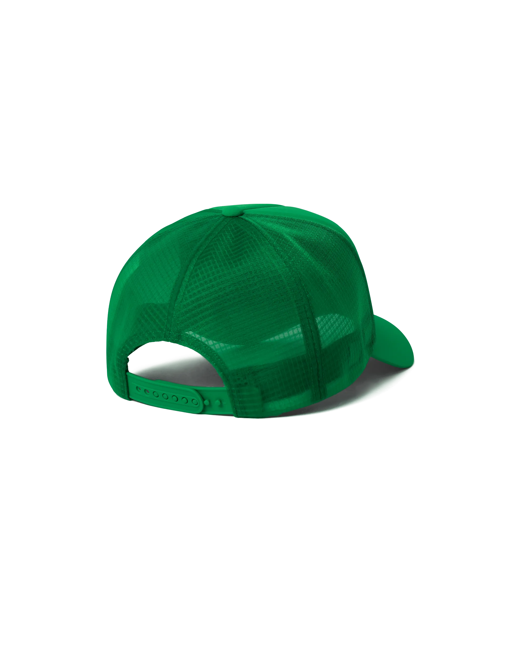 BIRD TRUCKER CURVED