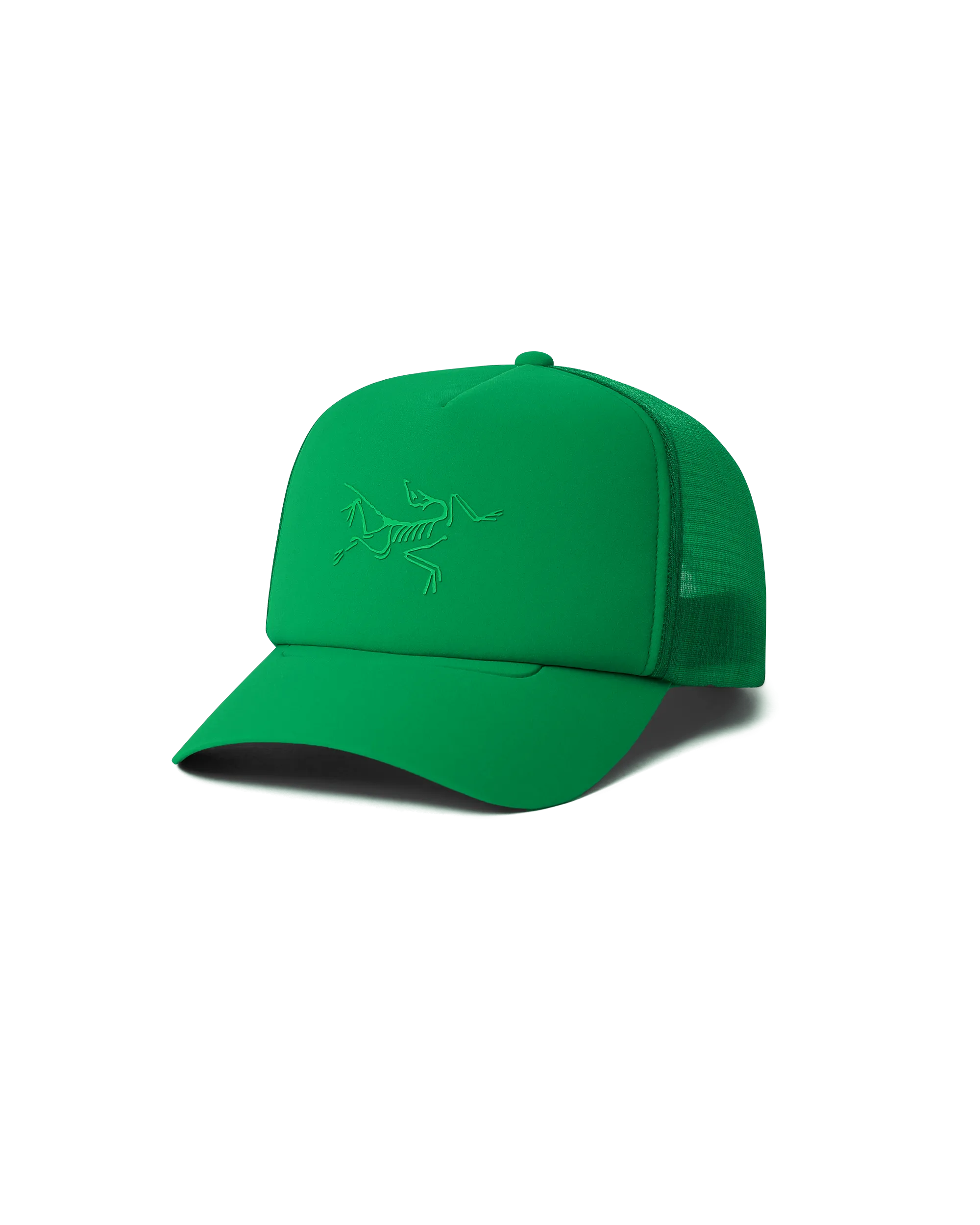 BIRD TRUCKER CURVED