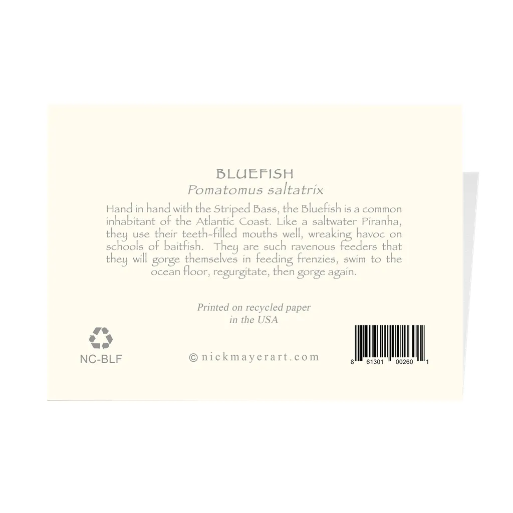 Bluefish Notecards