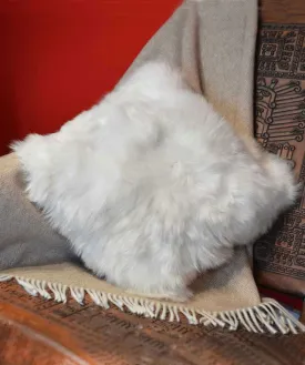 Fur Alpaca Pillow Case