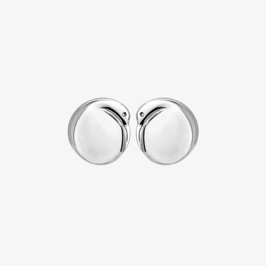 Kiwi Studs