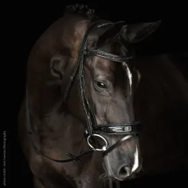 Malvern Saddlery CENTERLINE BAROQUE Dressage Bridle