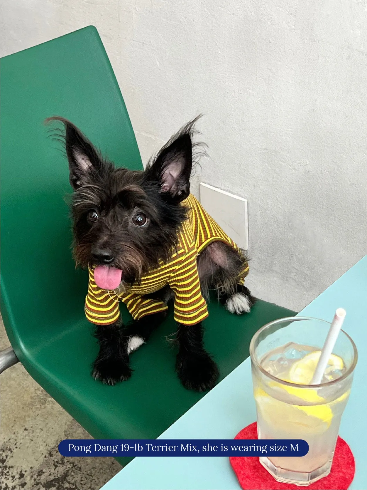 Met on Bumble Onesie