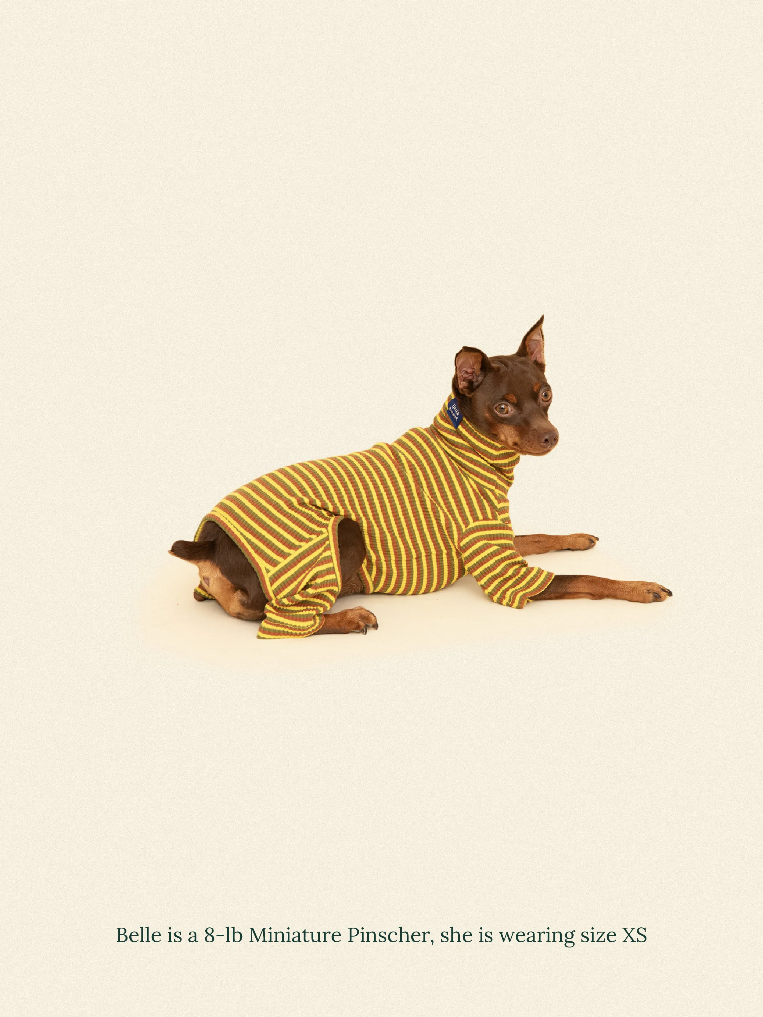 Met on Bumble Onesie