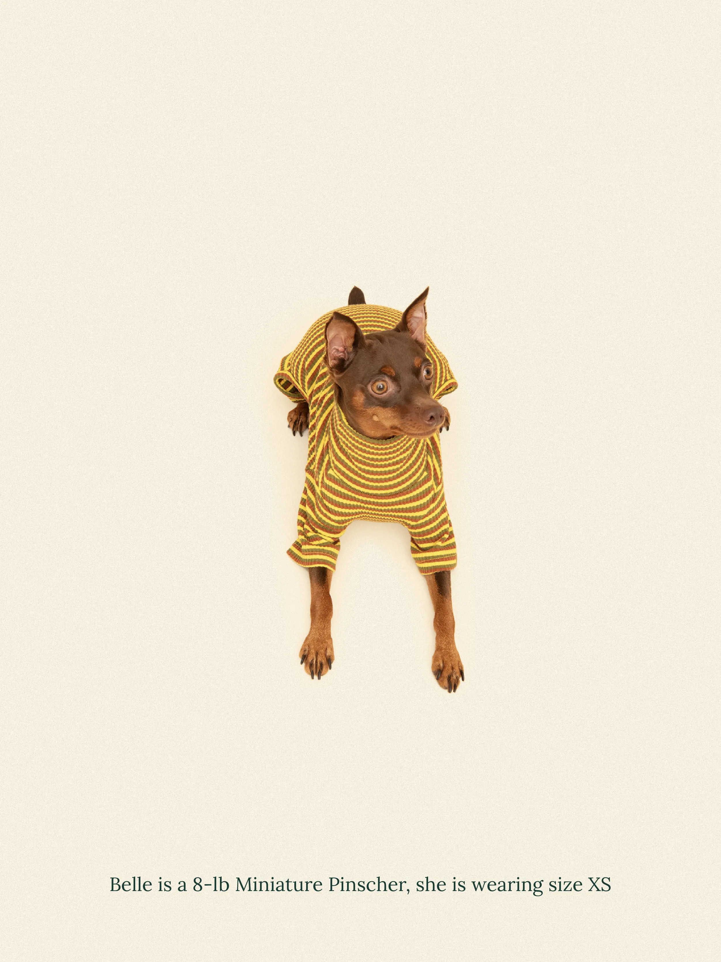 Met on Bumble Onesie