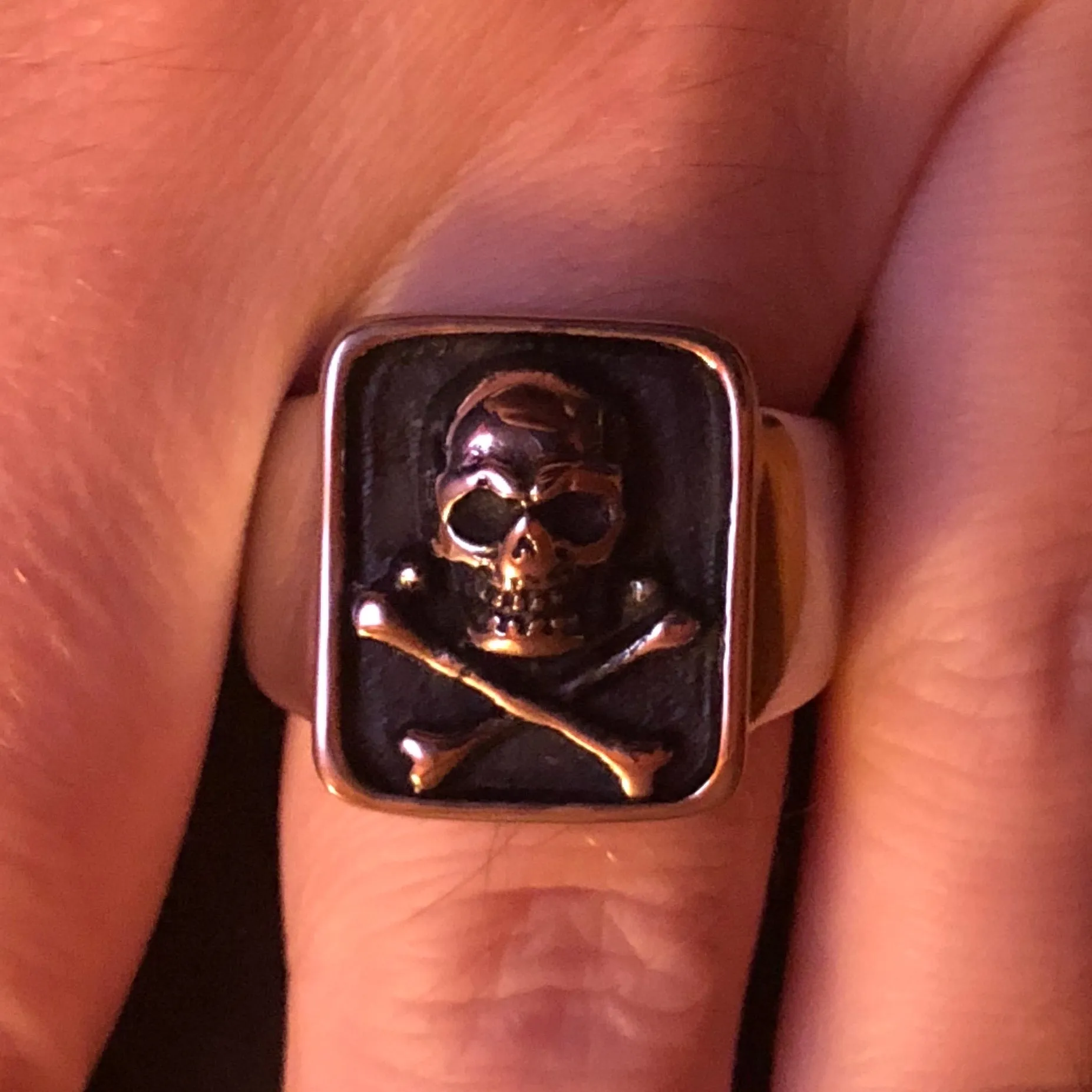 Steel Jolly Roger Ring